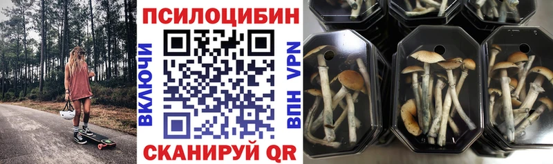 Псилоцибиновые грибы Psilocybine cubensis  Выкса 